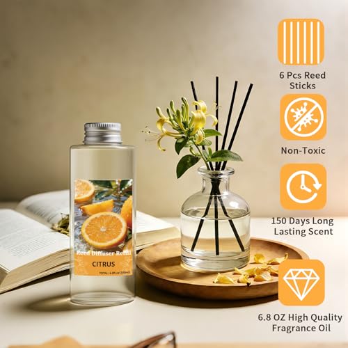 Image of STRN Reed Diffuser Oil Refill, Citrus Scented Diffuser Oil Refills with 6 Reed Sticks 200ML(6.8fl.oz), Room Fresheners for Home, Long-Lasting Summer Fragrance for Living Room, Bedroom, Office
