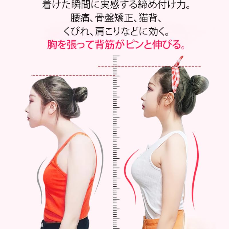 猫背矯正成功プログラム DVD 3枚組 猫背矯正成功プログラム DVD 3枚組 最終価格】猫背プログラム