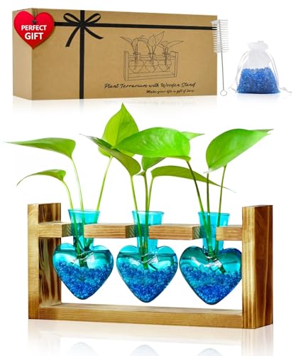 Nacome Plant Terrarium for Office Decor: Birthday Gifts for Plant Lovers Women Mom Wife - Wooden Stand Tabletop Planter 3 Bulb Glass Vase Heart Shaped for Hydroponics Indoor Home