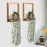 SOONOW 2 Pack Wooden Shelves with Fake Hanging Plants for Wall Decor, Modern Farmhouse Wood Wall Art for Living Room, Bedroom, Bathroom
