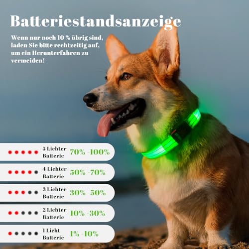Leuchthalsband Hund, Hundehalsband Leuchtend Aufladbar mit Batteriekontrollleuchte, Wasserdichtes LED Hundegeschirr Leuchtend, Einstellbare Größe 3 Blinkende Lichter