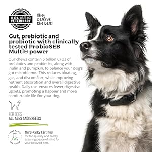 Anp advanced prebiotic  probiotic natural chews for dogs  no animal proteins gut flora health clinically studied proseb multi® for digestive health including diarrhea relief and bowel stability   cucciolini doodles