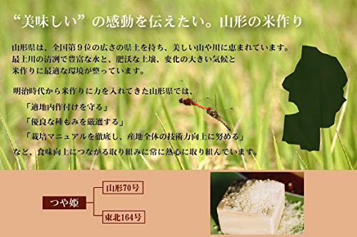 Amazon.co.jp: 令和7年産 無洗米 食べ比べ お試しセット 10kg (5kg×2袋