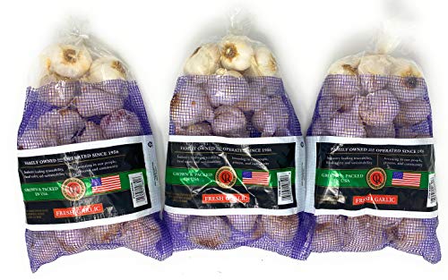 2 Pounds Fresh Garlic USA California Grown Gilroy Finest (Pack of 3)