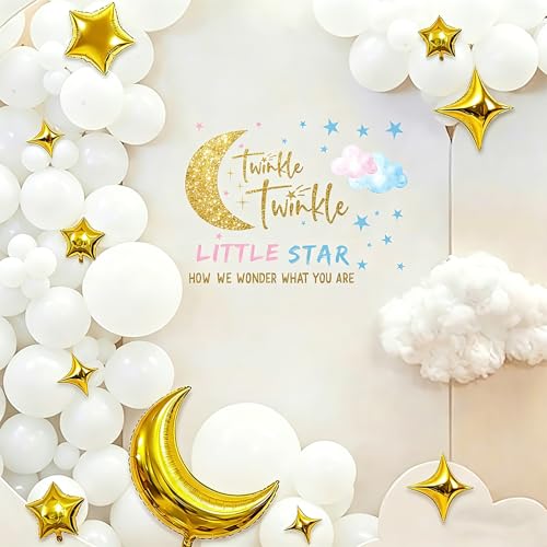 Twinkle Twinkle Little Star Gender Reveal Decorations - Cloud Gender Reveal Decorations Star Decal Sign for Balloons Arch Backdrop Twinkle Twinkle Little Star Baby Shower for Girl (Not Balloons)