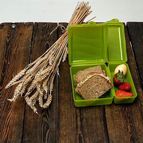 Rotho, Fun, Vesper box with two separate compartments, Plastic (PP) BPA-free, blue, 1,05l + 0,55l (22,0 x 16,5 x 7,0 cm) - Image 2