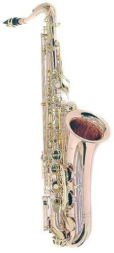 PLAYTECH (vCebN) ei[TbNX X^_[hf [YuXǑ P[Xt