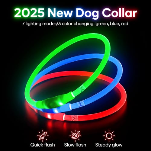 iTayga Leuchthalsband Hund, USB Typ-C und Wasserdicht RGB Hundehalsband, Verstellbare Länge, Sichtweite 500M, 7 Modi, Grün Blau Rot Mehrfarbig Leuchtendes Halsband für Hunde und Katzen
