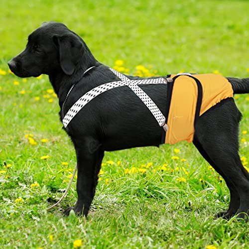 Hunde-Hosenträger 2 Stück Windel-Hosenträger für Hündinnen und Welpen, Hochsaugfähig, Größenverstellbar