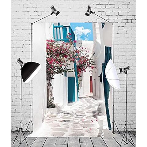 CORFOTO Greece Street Backdrop Mama Mia Party Supplies Mia Birthday Decorations Themed Backdrop Greece Themed Party Decorations Greek Party Supplies Greek Dinner Decor Stone Path Wedding Banner Fabric Cover