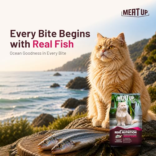 Image of Meat Up Adult Dry Cat Food 3Kg + 3kg (Free) 6Kg | Ocean Fish Flavour | Buy 1 Get 1 | Controls urinary pH | Taurine for Healthy Heart | Healthy Skin & Coat | Hair Ball Protection