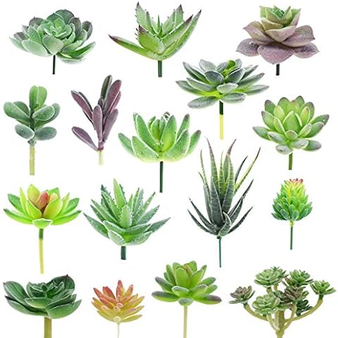 XONOR Plantas suculentas Artificiales Surtidas (16 Piezas) Cover