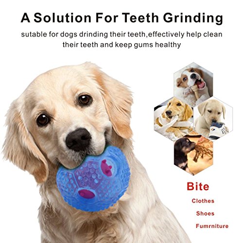 Cane da masticare del cane, dispensatore di cibo a...