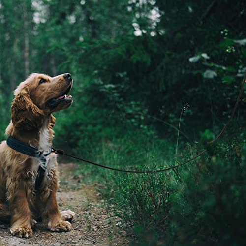 Chew Proof Hundeleine, Hundeleine Kette, Hundekette Leine Bissfest, Kettenleine für Große und Kleine Hunde Training (1.5M, A) red