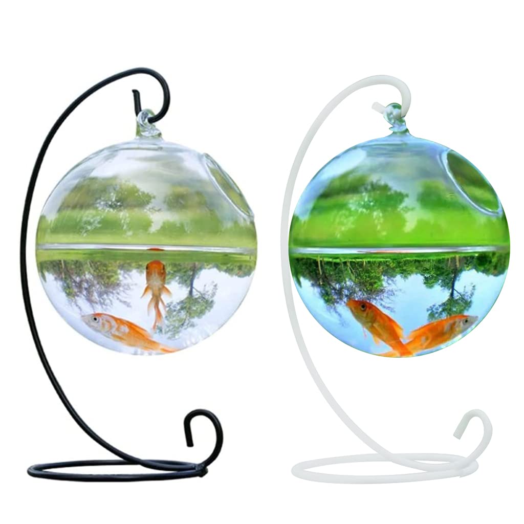Cuenco de almacenamiento, esférico de cristal hecho a mano para peces de forma redonda, colgante de cristal, pecera, terrario transparente, color blanco