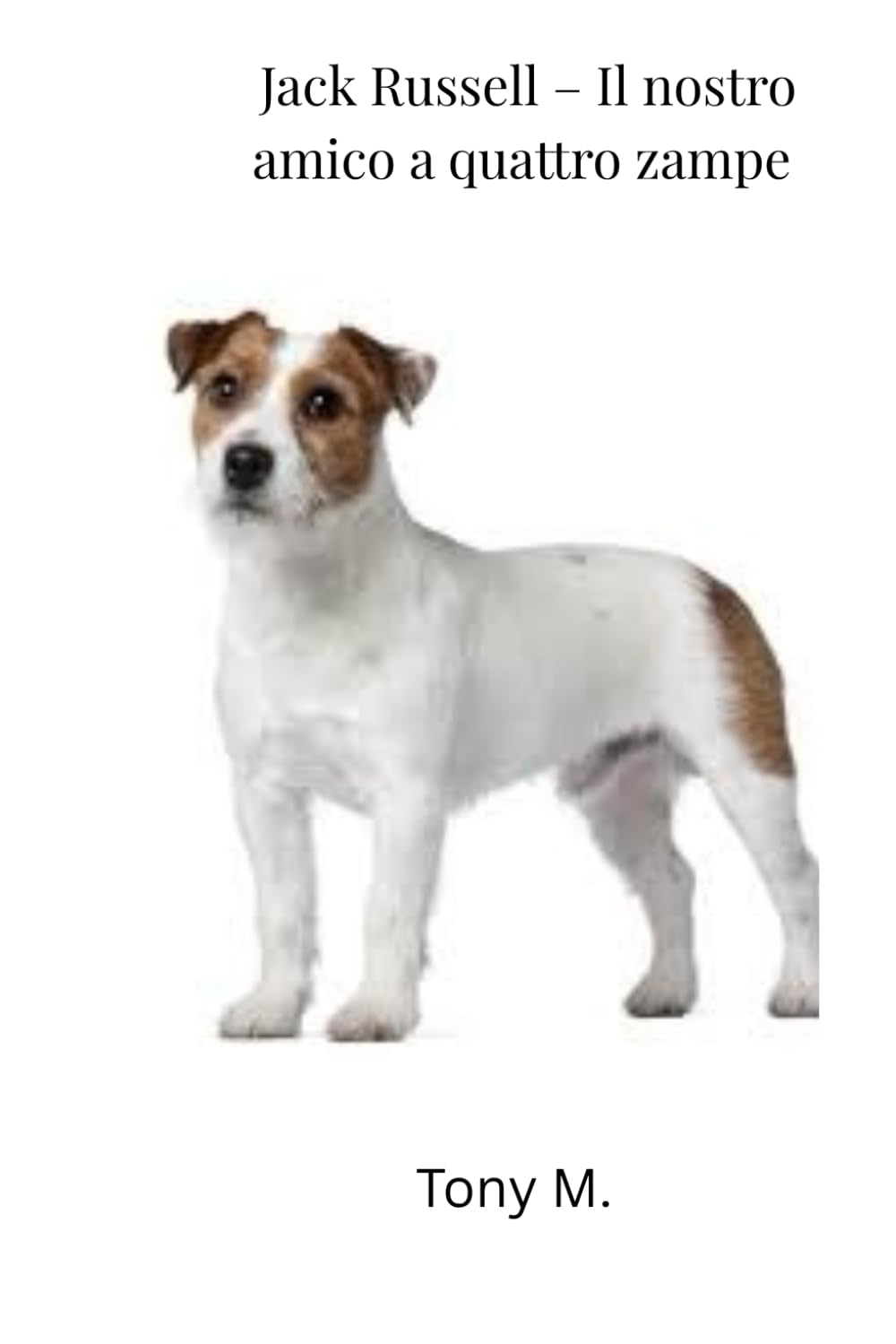 Jack Russell, il nostro amico a quattro zampe