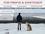 LASALINE Canicross Gürtel Bauchgurt für Hundeleine Dogtrekking Gürtel in Schwarz Hellblau