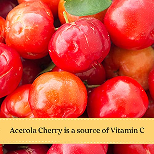 Burt's Bees Kids Immune Support Gummies: Vitamin C And Zinc, Natural Manuka Honey, Orange Flavor, 30 Count #TOP2