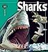 Sharks (Insiders)