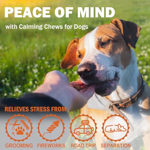 Image of Hеmp Calming Chews for Dogs - Duck Flavor Soft Chews - Dog Calming Treats Supplement for Storm Anxiety, Sleep, Relaxing, Separation Aid, Stress, Hyperactivity Relief - All Ages & Sizes - 240 Count