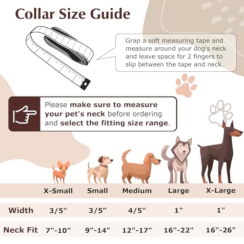Collier pour chien à dégagement rapide XL contre les irritations