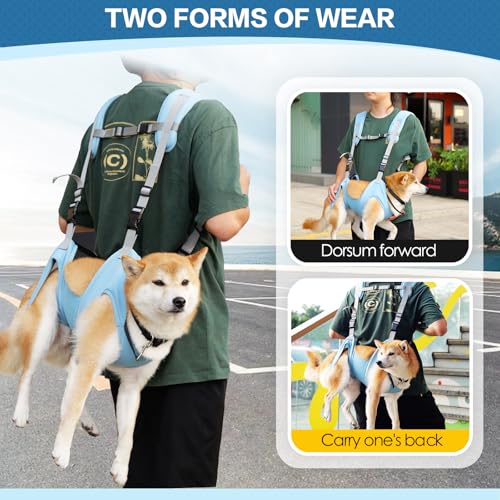 BT Bear Tragetuch für Hunde, tragbarer Outdoor-Rucksack, Notfall-Rucksack, Haustier-Tragetasche für ältere Hunde, Gelenkverletzungen, Arthritis, Treppenauf- und Absteigen, Lähmung, Blau, Größe L