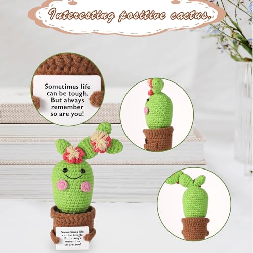 lasuroa Positive Cactus Crochet - Image 3