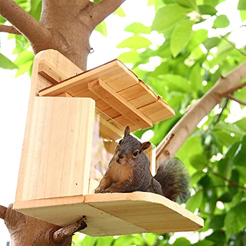 Mangiatoia per Scoiattoli da Appendere in Legno