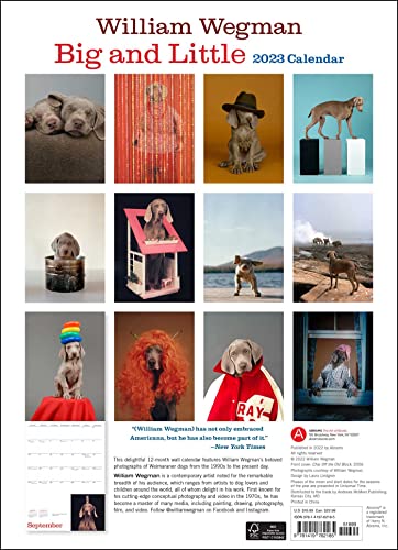 William Wegman Big And Little 2023 Wall Calendar #TOP1