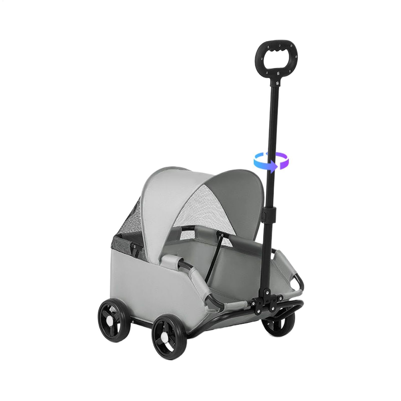 Katzenwagen Welpen Kätzchen Katzen Tiere Outdoor Hundespaziergänge