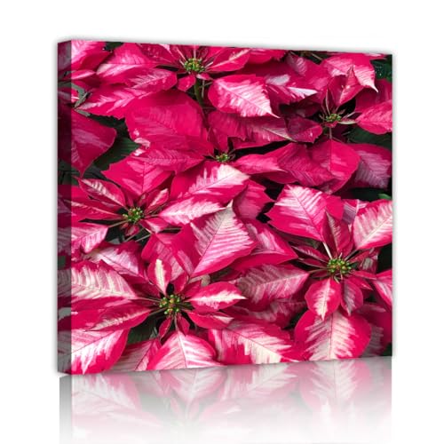 Impression florales sur toile grand format cadre interieur tableau fleur hiver rose
