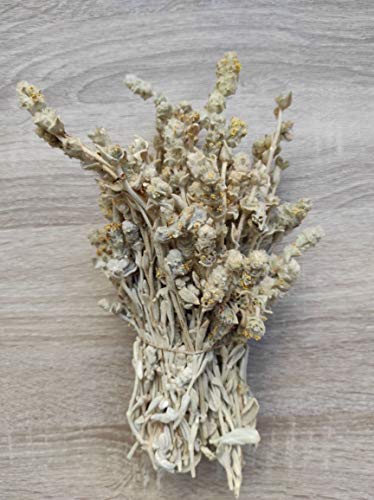 Té Salvaje Griego De Montaña Malotira Sideritis Syriaca 220g - 5KG Cosecha Junio 2022 (5 KG) - Imagen 3