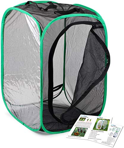 Image of RESTCLOUD Insect and Butterfly Habitat Cage Pop-up 23.6 Inches Tall | Butterfly Terrarium, Enclosure, Tight Mesh