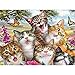 Produktbild Quadratisch Diamant Malerei Kits, 5D Diamant Gemälde Malen nach Zahlen,Square Diamond Painting Bilder Katzen 5D Diamant Painting Full Groß Kreuzstich Stickerei Mosaik Geschenk 0 x 40 cm