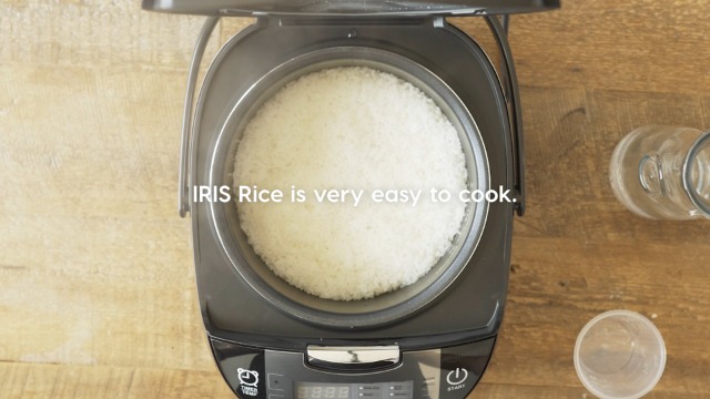 Amazon.com : IRIS USA, Inc. Milky Queen from Ibaraki