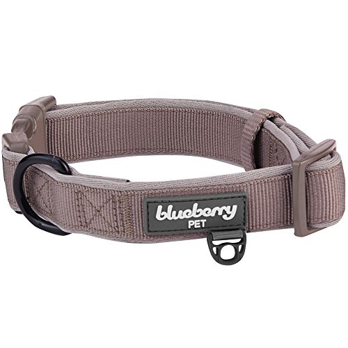 Blueberry Pet 2 Colors Soft & Comfy Made Well Classic Neoprene Padded Adjustable Dog Collar, Beaver Brown, Medium, Neck 14.5