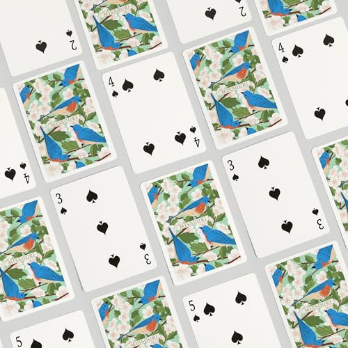 Baraja de cartas estilo poker Missouri, 52 cartas miniatura 4