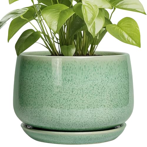 G EPGardening Ceramic Planter