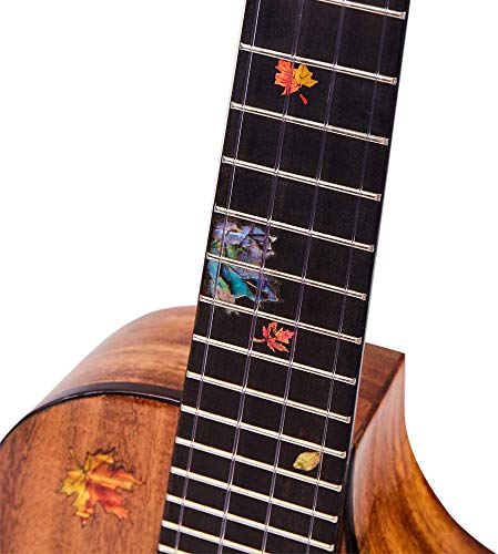Ukulélé 26 Pouces Ukulélé Ténor Artisanat Solide 4 Cordes Finition Brillante De Guitare Avec Étui Rigide/Accordeur/Capo… - Les Beatles, Paul McCartney, John Lennon, RIngo Starr, George Harrison Ukulélé 26 Pouces Ukulélé Ténor Artisanat Solide 4 Cordes Finition Brillante De Guitare Avec Étui Rigide/Accordeur/Capo… – Image 6