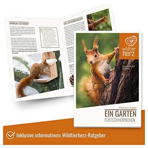 wild dier hart | Eekhoorn Voederhuis - Eekhoorn Vogelvoeder gemaakt van geschroefd massief Hout, Weerbestendig, Voerstation voor de Eekhoorn, Voerstation voor Balkon en Tuin, Eekhoornhuisje, Voeder - Image 6