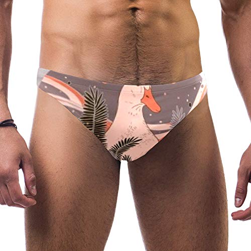 Anmarco Ganso entre las malas hierbas para hombre, traje de baño, ropa...