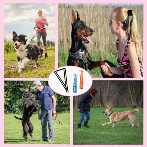 LIURFLNC 2 Stück Hundepfeife Rückruf, Laut und Weitreichend Hundepfeife, Hundepfeife Hochfrequenz Lautlos, Ideal für Hundetraining Hundepfeifen mit Schwarzem Schlüsselband(Blau/Orange)