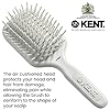 Kent AH8W Airhedz Cushion Paddle Brush - Scalp Massager and Detangler Brush - The Hair Brush for Thick Hair - Scalp Massager Hair Growth Stimulator - Hair Detangler and Curly Hair Brush