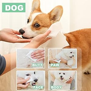 Air-Jungles-3in1-Pet-Wipes-for-Dogs-and-Cats-100-Count-8-x-10-Extra-Large-Hypoallergenic-Cleaning-Grooming-Deodorizing-Wipes-for-Pets-Paws-Body-Face-Ear-Butt - Cucciolini Doodles   Air-Jungles-3in1-Pet-Wipes-for-Dogs-and-Cats-100-Count-8-x-10-Extra-Large-Hypoallergenic-Cleaning-Grooming-Deodorizing-Wipes-for-Pets-Paws-Body-Face-Ear-Butt