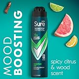 Sure Men Anti-perspirant Deodorant Aerosol Quantum Dry Nonstop Protection 250 ml - Image 6