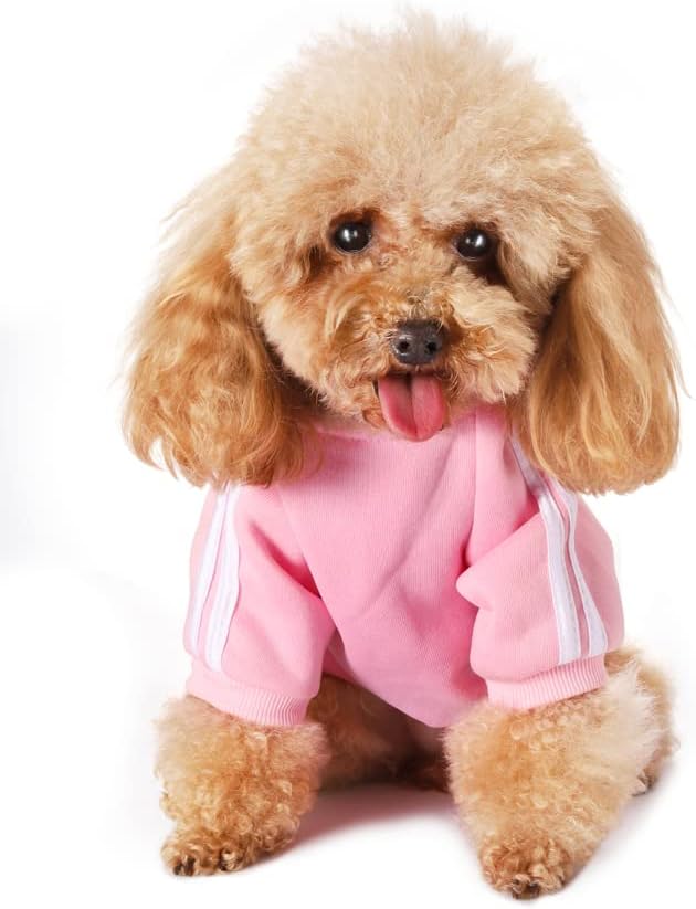 Dog Hoodie,Jersey Perros Sudadera ParaCachorros Perro Ropa,Sudadera para Chihuahua Cómodo Y Cálido Costume Pullover para Mascota Pequeño Perro Gato (X-Small, Rosado)