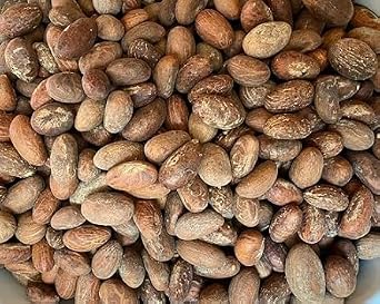 African Bitter Kola Nuts, Bitter Kola Retro Garcinia, Petit Cola Nut, Obi Abata Cola Nut (8oz)