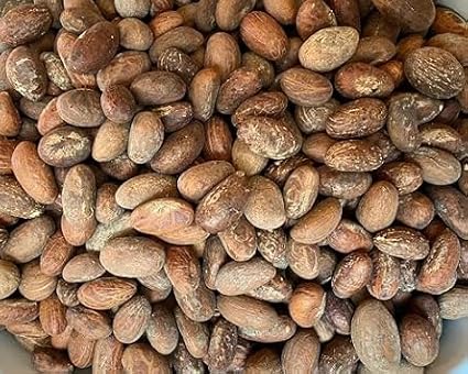 African Bitter Kola Nuts, Bitter Kola Retro Garcinia, Petit Cola Nut, Obi Abata Cola Nut (8oz)