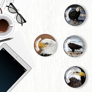 12pcs glass refrigerator magnets fridge magnets decoration for classroom locker office whiteboards cabinet dishwasher and magnetic surfaces eagle  urban country home decor