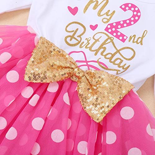 Winter Birthday Outfit Girl My Second Birthday Mini Dress Cake Smash Outfit Baby Tulle Tutu Skirt Autumn Long Sleeve Mouse 2Nd Birthday Themed Party Supplies 2 Years Old Photoshoot Polka Dots Hot Pink #TOP3